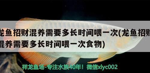 龍魚招財混養需要多長時間換水：龍魚和招財魚混養時的換水頻率需要綜合考慮多種因素