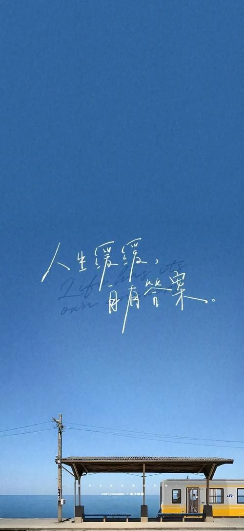 2025年最火的帶字壁紙 龍魚百科 第16張 2025年最火的帶字壁紙 2025年最火的帶字壁紙 龍魚百科 第16張