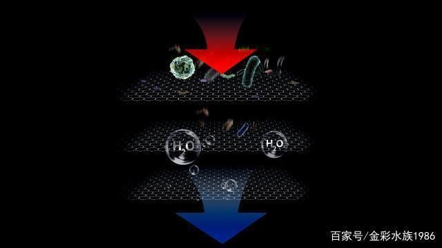 龍魚缸過濾系統(tǒng)哪些好：如何選擇龍魚缸過濾系統(tǒng) 龍魚缸過濾系統(tǒng)哪些好：如何選擇龍魚缸過濾系統(tǒng) 龍魚百科 第5張