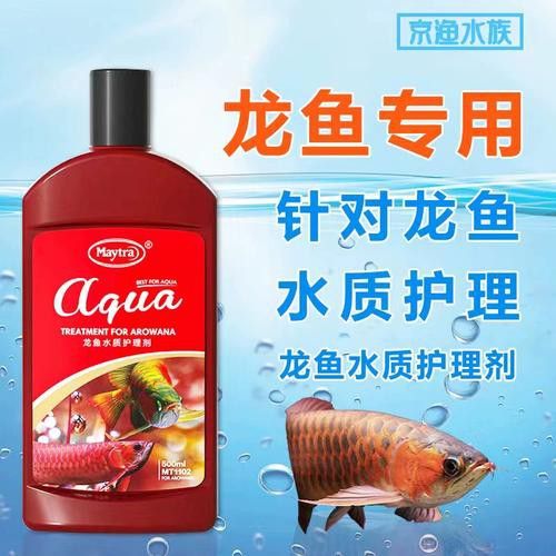 紅龍魚蒙眼