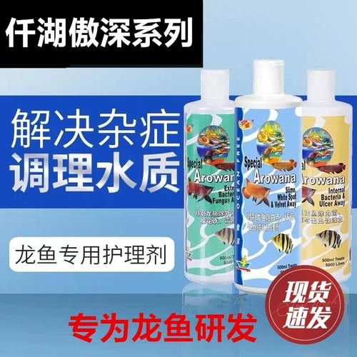 紅龍魚蒙眼
