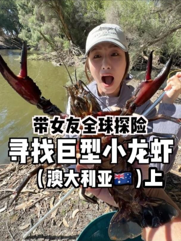如何找到更多高清大龍蝦圖片？