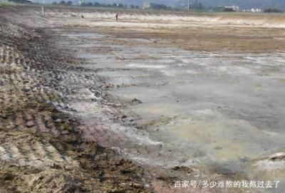 龍魚夜里跳缸：為什么龍魚跳缸都是晚上開口？ 龍魚夜里跳缸：為什么龍魚跳缸都是晚上開口？ 龍魚百科 第3張