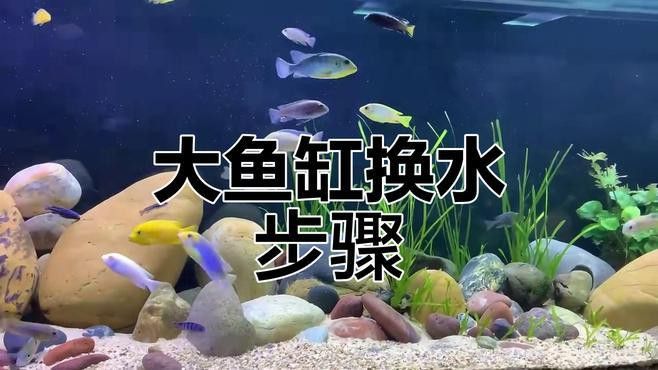 如何給80缸換水？