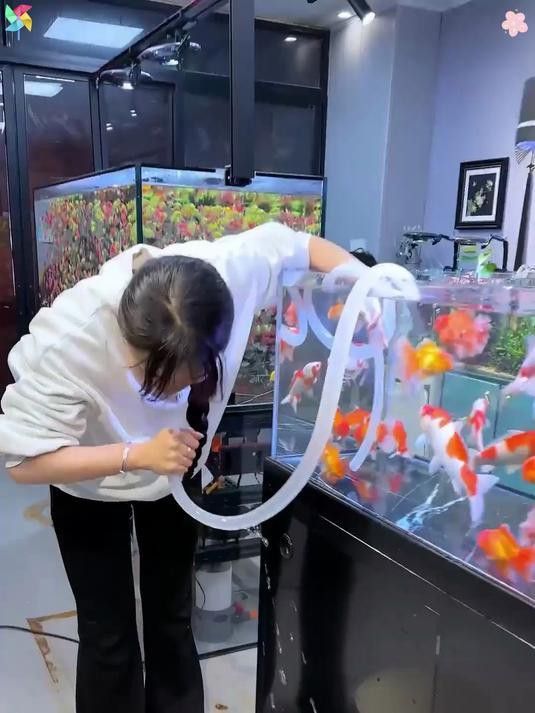 如何給80缸換水？