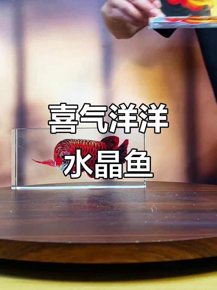 紫色水晶龍魚擺件價格如何？