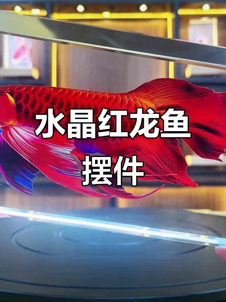 紫色水晶龍魚擺件價格如何？