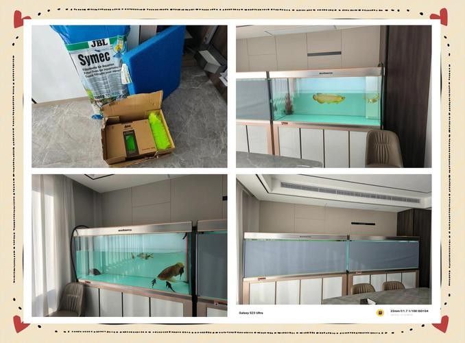 金龍魚魚缸造景教程圖 金龍魚魚缸造景教程圖 龍魚百科 第23張