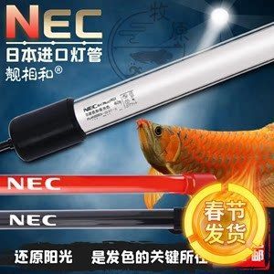 紅龍魚上色用家用燈管可以嗎（養紅龍魚到底要什么色的燈管360問答）