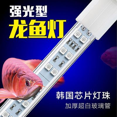 龍魚使用加熱棒需要注意以下幾點：龍魚使用加熱棒時需要注意以下幾點