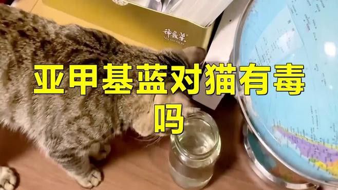 亞甲基藍(lán)使用過(guò)量如何急救？