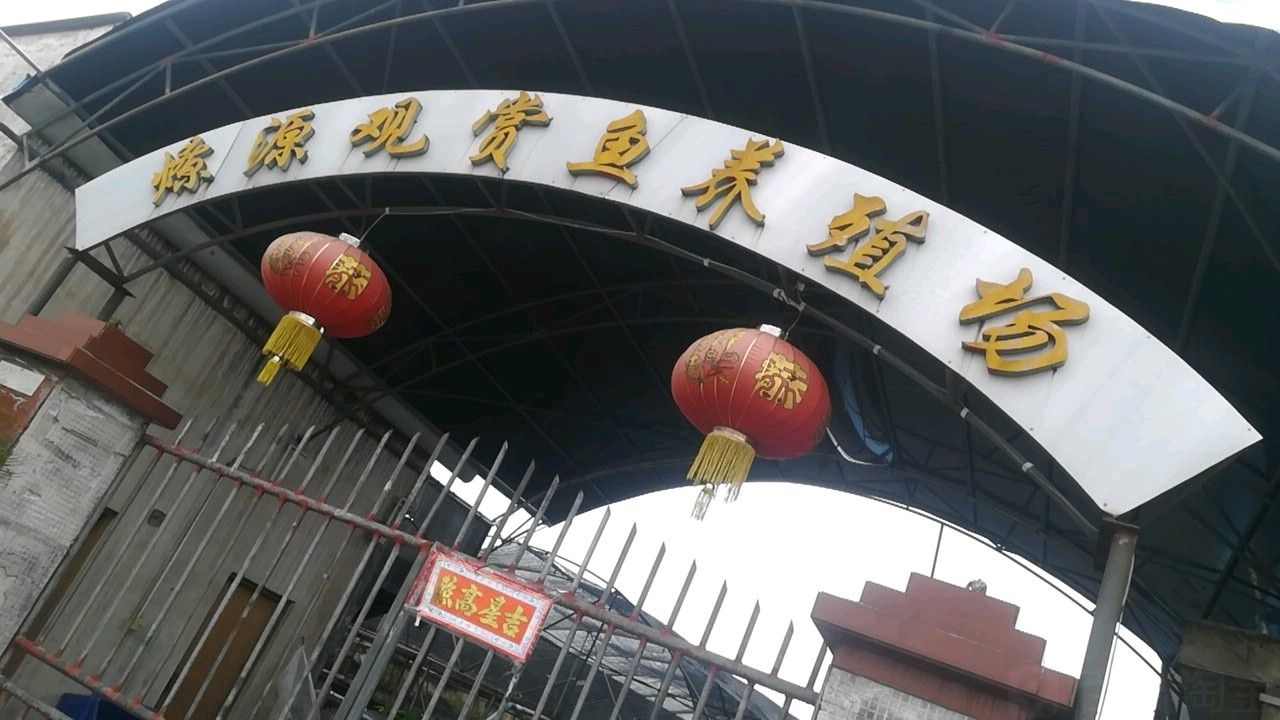 銀龍魚養(yǎng)殖場怎么樣 銀龍魚養(yǎng)殖場怎么樣 龍魚百科 第1張