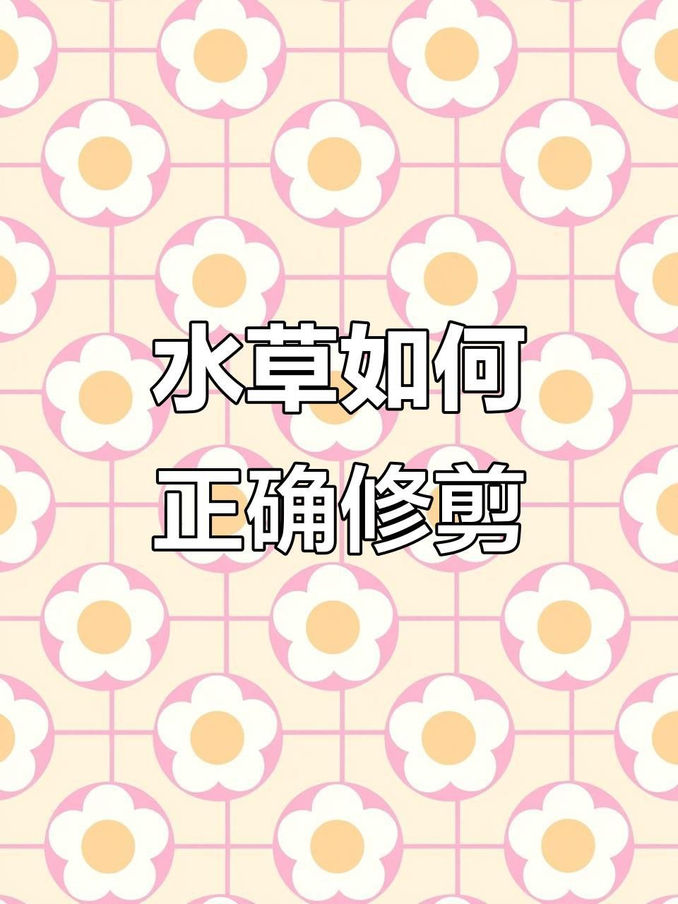 修剪水草時需要注意什么？