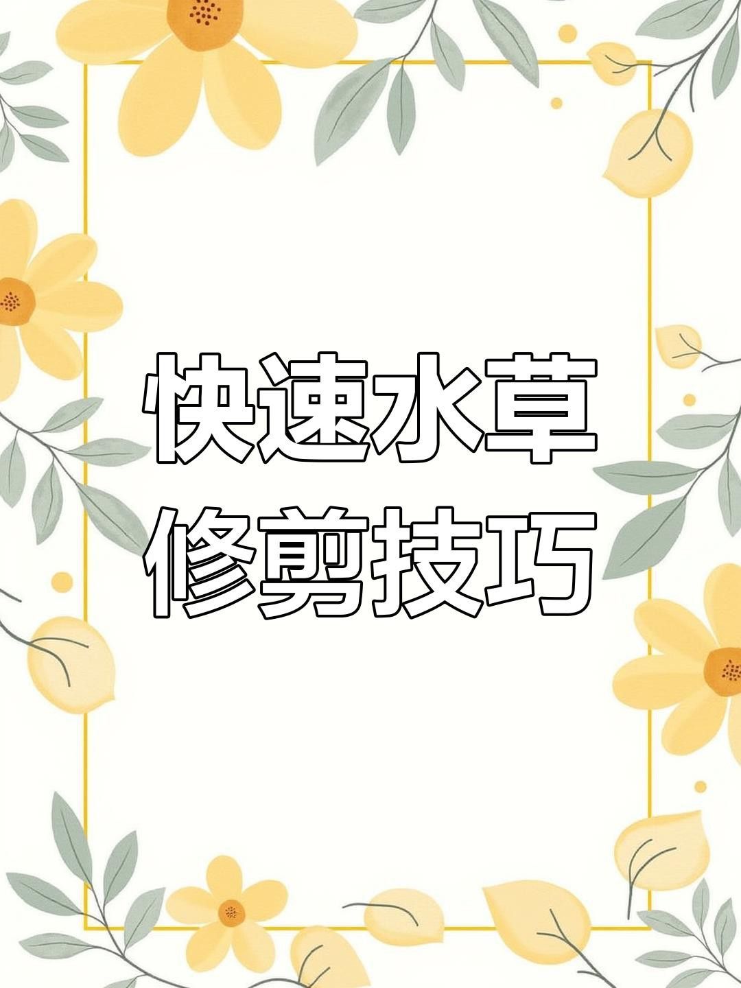 修剪水草時需要注意什么？
