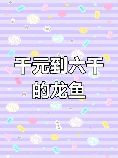 湛江龍魚價格表圖片
