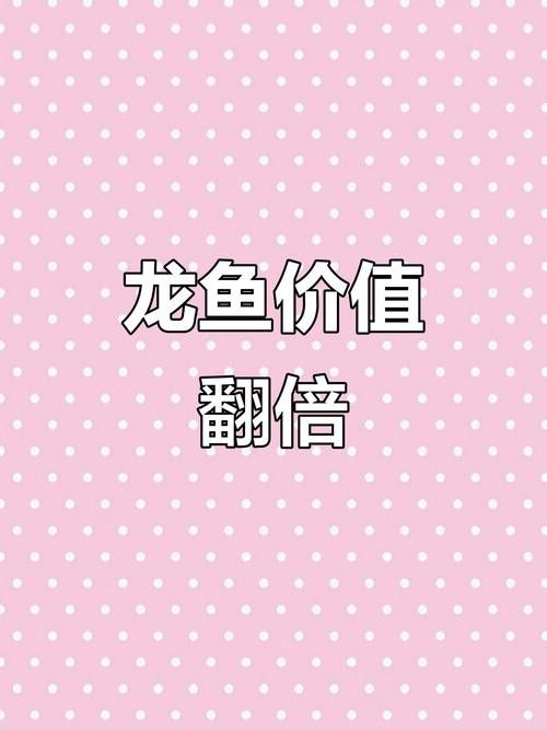 湛江龍魚價格表圖片
