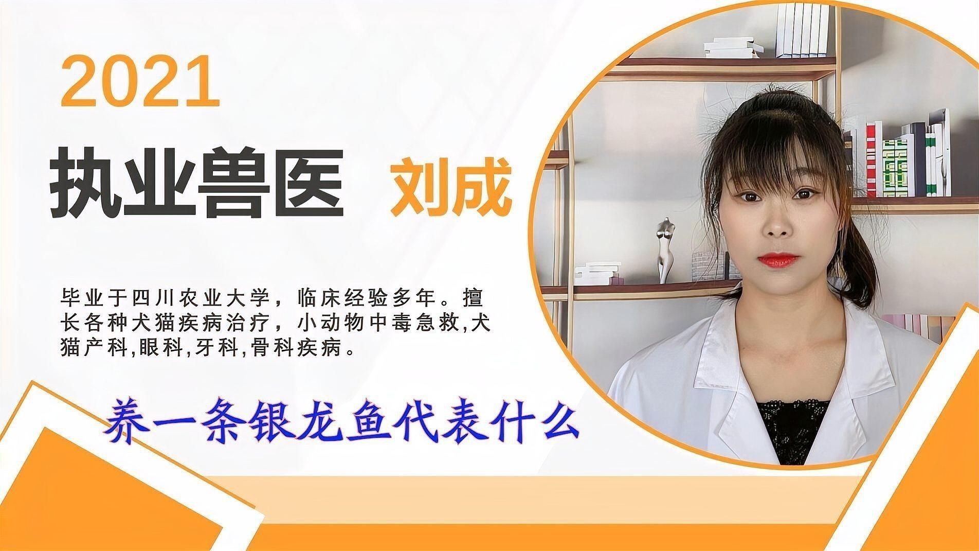 養一條銀龍魚代表什么