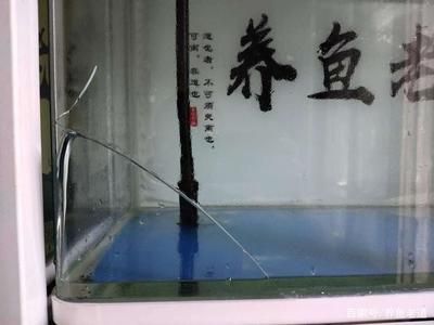 魚缸漏水維修電話北京，北京魚缸漏水維修電話