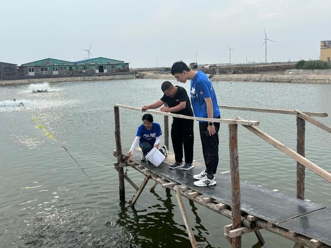 龍魚拒食期間應該喂什么？