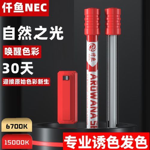 nec龍魚燈怎么看真假