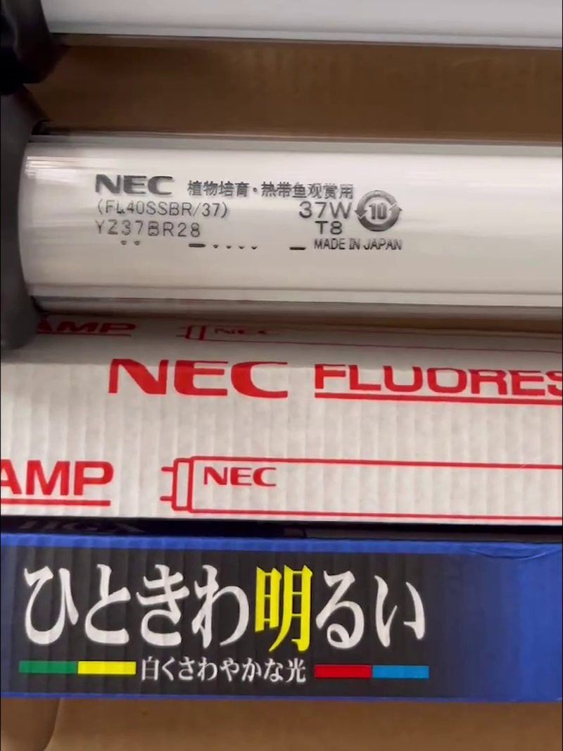 nec龍魚燈怎么看真假