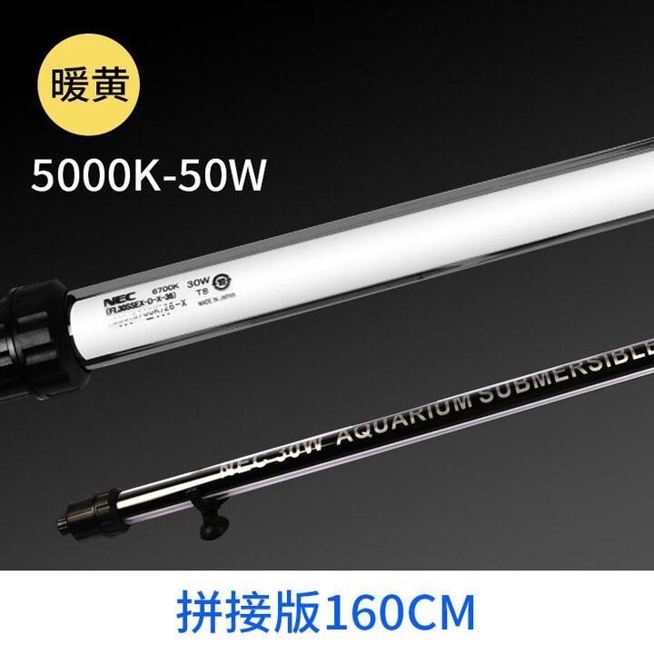 nec龍魚燈怎么看真假