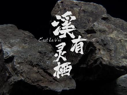 小型雷龍魚缸造景圖片 小型雷龍魚缸造景圖片 龍魚百科 第27張