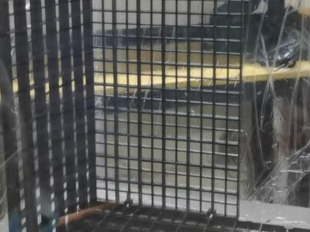 小型雷龍魚缸造景圖片 小型雷龍魚缸造景圖片 龍魚百科 第30張