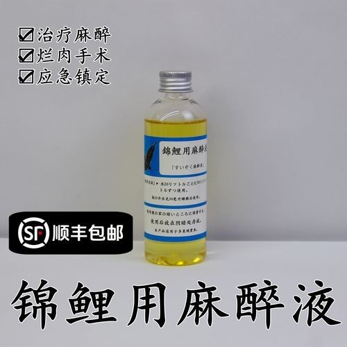 龍魚麻醉運輸