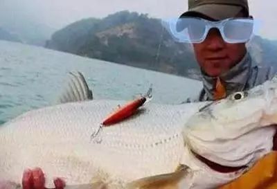 龍魚翹嘴什么情況下開口了 龍魚翹嘴什么情況下開口了 龍魚百科