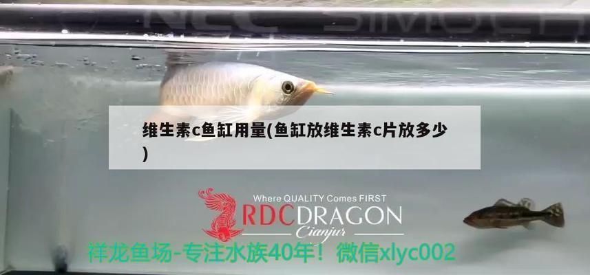 麥肯斯銀版魚常見病癥：麥肯斯銀版魚水質(zhì)改善方法麥肯斯銀版魚水質(zhì)改善方法