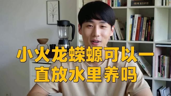如何保持小火龍蠑螈的水溫穩定？