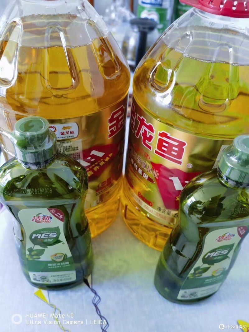 金龍魚成品 龍魚百科 第6張 金龍魚成品 金龍魚成品 龍魚百科 第6張
