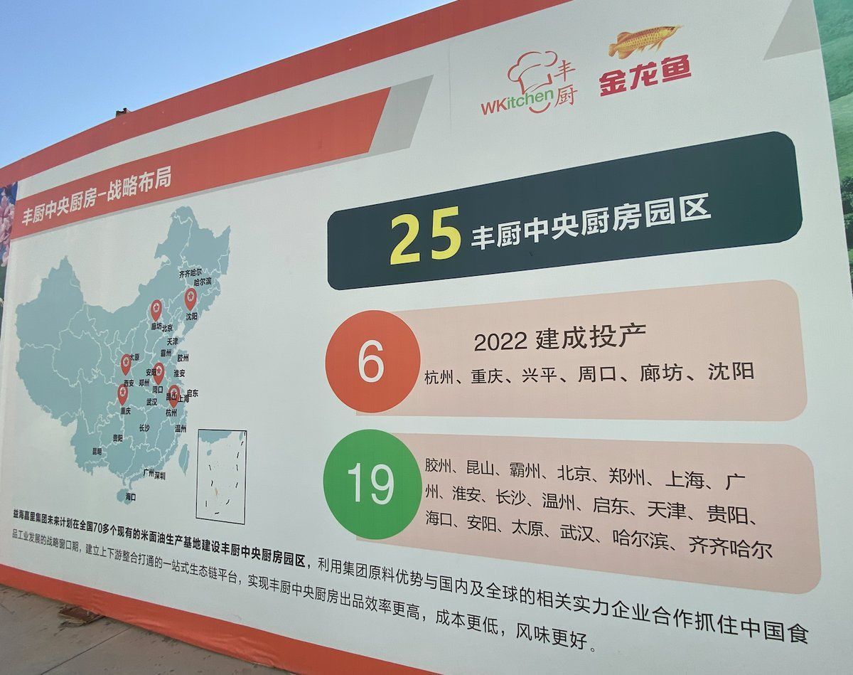 金龍魚成品 龍魚百科 第14張 金龍魚成品 金龍魚成品 龍魚百科 第14張