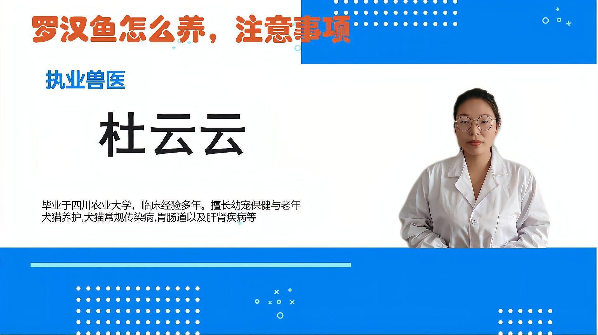 羅漢魚苗怎么養 羅漢魚苗怎么養 龍魚百科 第2張