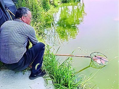 南京龍魚祥龍魚場(chǎng) 南京龍魚祥龍魚場(chǎng) 龍魚百科 第16張