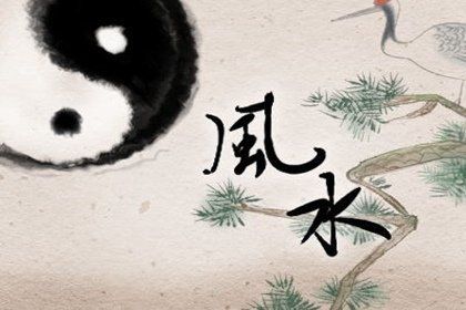 魚缸標(biāo)配有哪些（如何選擇適合的魚缸濾材？）
