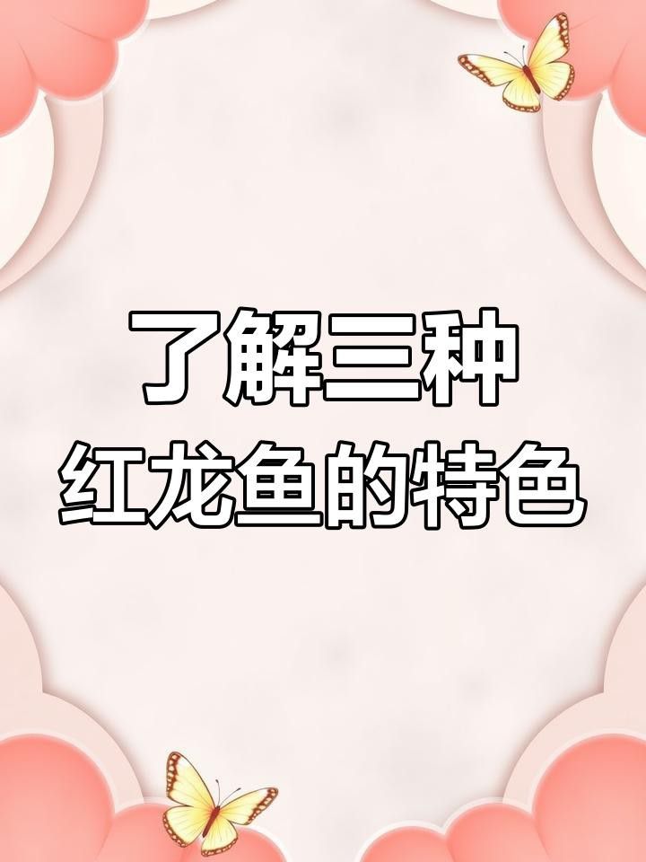 給我推薦一些性價(jià)比高的印尼紅龍品種