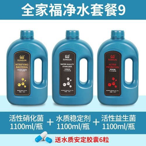 福龍魚需要什么樣的過(guò)濾系統(tǒng)？