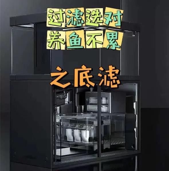 福龍魚需要什么樣的過(guò)濾系統(tǒng)？