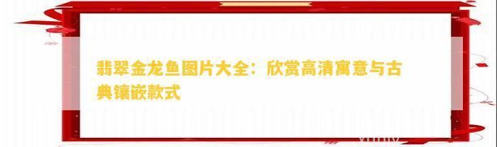 翡翠藍(lán)龍魚