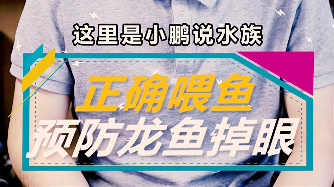 防龍魚掉眼球原理