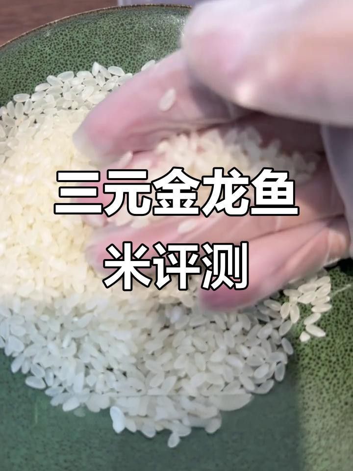 金龍魚月牙香米有哪些優(yōu)點？