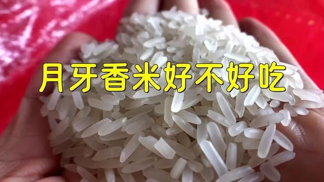 金龍魚月牙香米有哪些優(yōu)點？