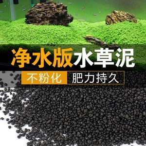 紅龍魚養殖技術視頻:紅龍魚養殖技術視頻在線觀看紅龍魚養殖技術視頻教程 龍魚百科 第1張 紅龍魚養殖技術視頻:紅龍魚養殖技術視頻在線觀看紅龍魚養殖技術視頻教程 紅龍魚養殖技術視頻:紅龍魚養殖技術視頻在線觀看紅龍魚養殖技術視頻教程 龍魚百科 第1張