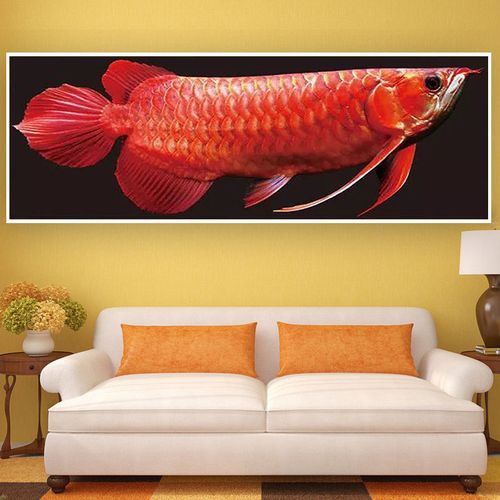 北京紅龍魚哪家好吃又便宜 龍魚百科 第2張 北京紅龍魚哪家好吃又便宜 北京紅龍魚哪家好吃又便宜 龍魚百科 第2張