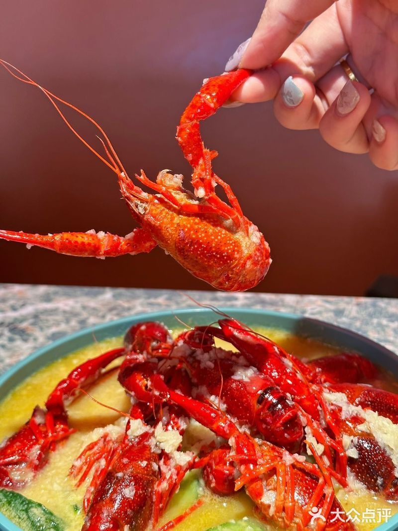 北京紅龍魚哪家好吃又便宜 北京紅龍魚哪家好吃又便宜 龍魚百科 第7張