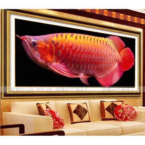 北京紅龍魚哪家好吃又便宜 龍魚百科 第5張 北京紅龍魚哪家好吃又便宜 北京紅龍魚哪家好吃又便宜 龍魚百科 第5張