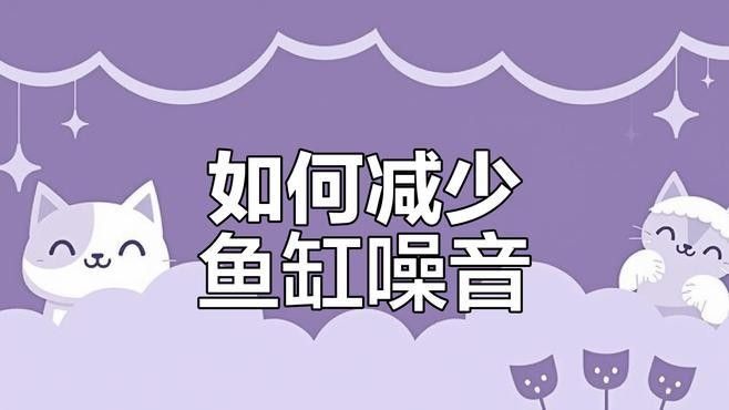 龍魚缸過濾系統的噪音如何控制？ 龍魚缸過濾系統的噪音如何控制？ 龍魚百科