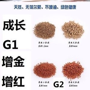 龍魚有病身體會出現(xiàn)什么情況呢：龍魚常見的幾種常見癥狀